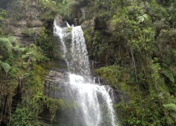 la cascada más alta de Colombia envuelve en una experiencia mágica