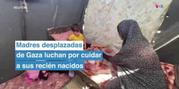 Madres desplazadas de Gaza luchan por cuidar a sus recién nacidos