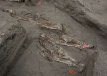 Hallan restos de decenas de niños posiblemente sacrificados hace 600 años en norte de Perú