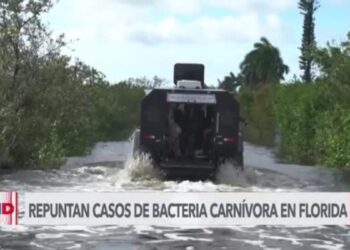 Emiten alerta por bacteria “come carne” en areas de Florida impactadas por huracanes