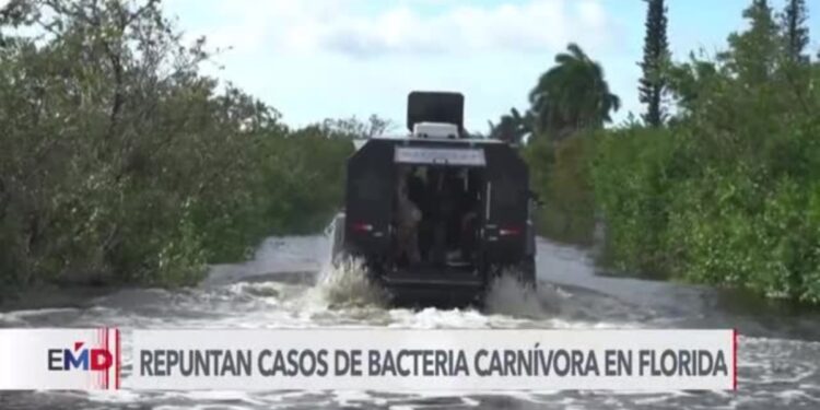 Emiten alerta por bacteria “come carne” en areas de Florida impactadas por huracanes