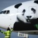 Envían dos pandas gigantes desde China al zoológico de Washington tras larga espera