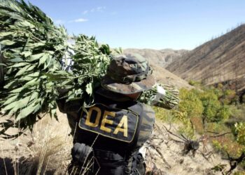 Organismo de control critica a DEA por no informar de torturas cometidas por pares en Latinoamérica