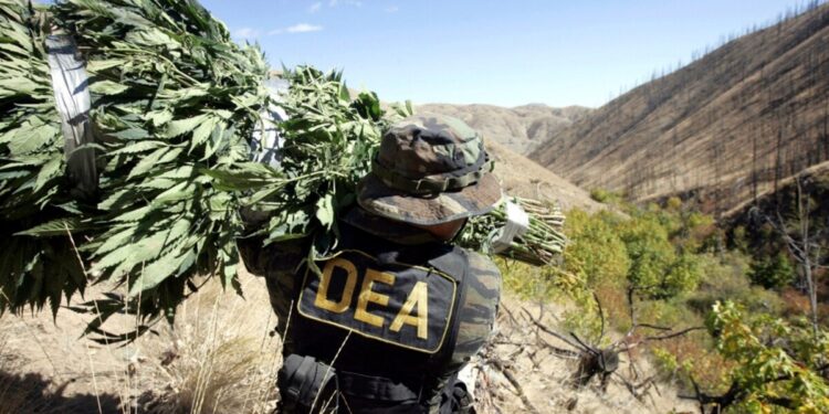 Organismo de control critica a DEA por no informar de torturas cometidas por pares en Latinoamérica