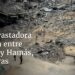 La devastadora guerra entre Israel y Hamás, en cifras