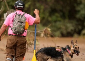 EE.UU: Víctimas del huracán Helene ya suman 152