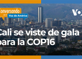 COP16, un encuentro para proteger la biodiversidad y el medio ambiente