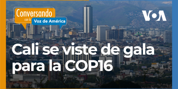 COP16, un encuentro para proteger la biodiversidad y el medio ambiente