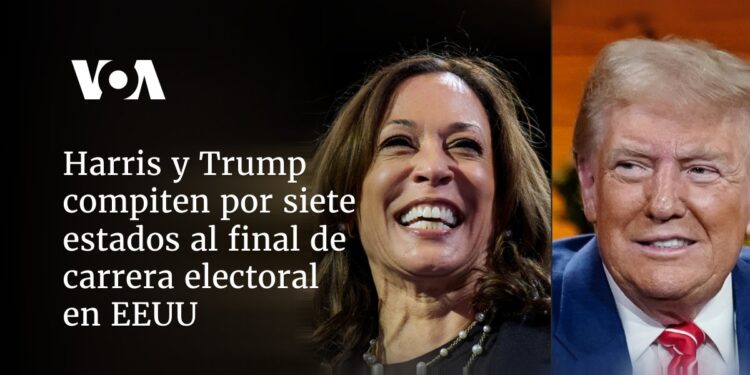 Harris y Trump compiten por siete estados al final de carrera electoral en EEUU