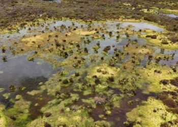 En Colombia y Ecuador, comunidades rurales protegen fuentes de agua en riesgo