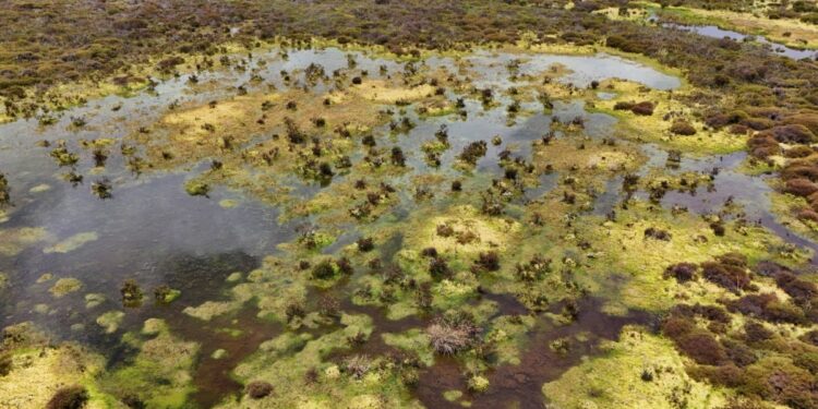 En Colombia y Ecuador, comunidades rurales protegen fuentes de agua en riesgo