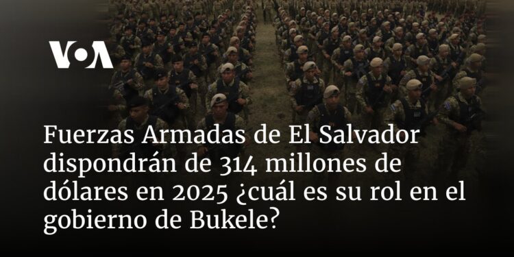 Fuerzas Armadas de El Salvador dispondrán de 314 millones de dólares en 2025 ¿cuál es su rol en el gobierno de Bukele?
