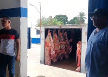 Alerta por venta de carne de burros y caballos en El Tigre