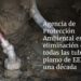 Agencia de Protección Ambiental exige eliminación de tuberías de plomo en una década