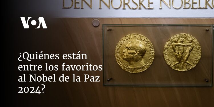 ¿Quiénes son los favoritos para ganar el Nobel de la Paz 2024?
