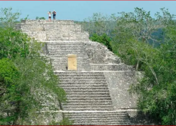 Un estudiante descubre por accidente una enorme ciudad maya perdida en la jungla mexicana