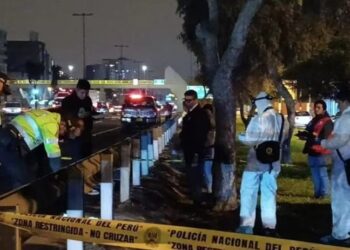 Venezolano asesino a una mujer y luego saltó de una pasarela en Perú