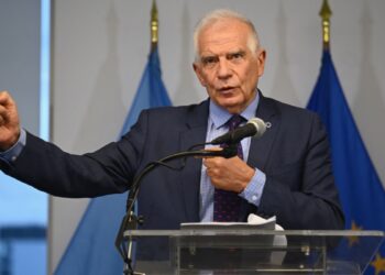 Europa respalda actas presentadas en OEA. Excepciones a permiso de viaje.