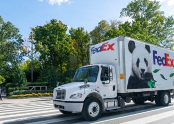 EEUU AL DIA | 10/15/2024