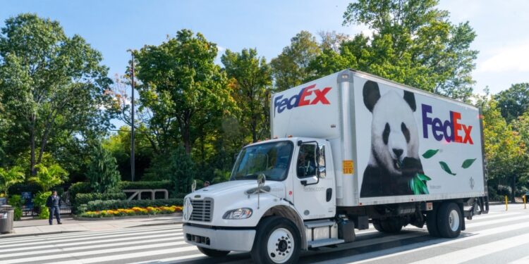 EEUU AL DIA | 10/15/2024