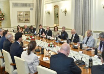 Argentina fortalece la cooperación bilateral con India tras una visita oficial