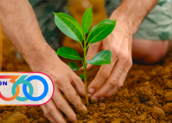 Visión 360 [Radio]: Una ayuda al planeta