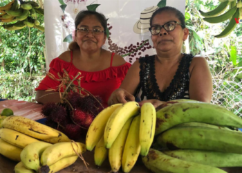 La ONU revela la injusticia del trabajo no renunerado para las mujeres