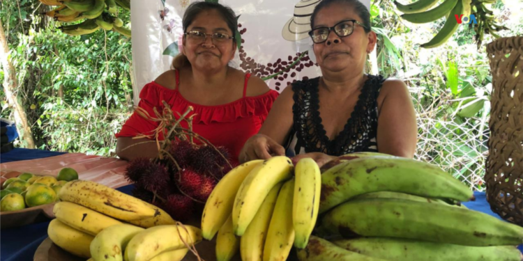 La ONU revela la injusticia del trabajo no renunerado para las mujeres