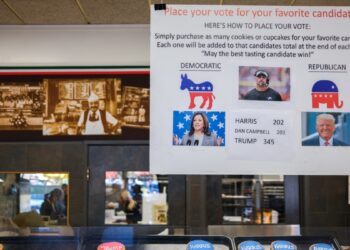 EEUU  AL DIA | 10/31/2024