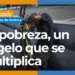La pobreza, mal endémico en América Latina – Primera Parte
