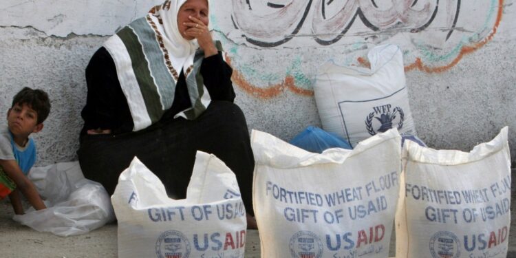 ONU: La ayuda que ingresa a Gaza ha caído a su nivel más bajo en meses