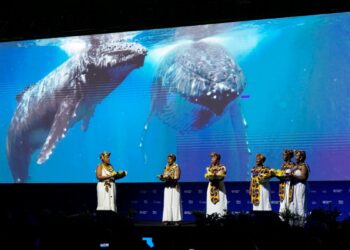 Avanza en Colombia la Cumbre de Biodiversidad COP16