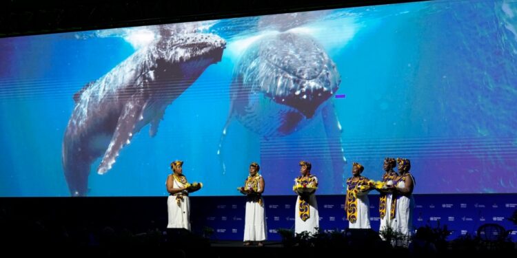 Avanza en Colombia la Cumbre de Biodiversidad COP16