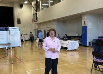 A pocos días de elección, la directora de Ciberseguridad de EEUU explicó la preparación ante posibles ataques cibernéticos el 5 de noviembre