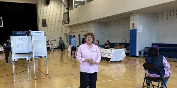 A pocos días de elección, la directora de Ciberseguridad de EEUU explicó la preparación ante posibles ataques cibernéticos el 5 de noviembre