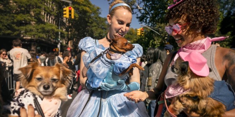 Avance Informativo 6:00 PM