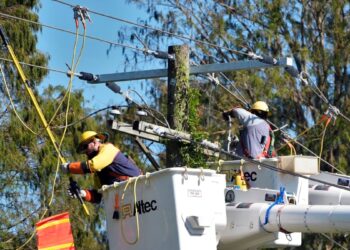 Existe una creciente incertidumbre en Florida por la cobertura de aseguradoras tras el paso del Huracán Milton