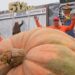 Calabaza de 1.120 kilos gana concurso en California
