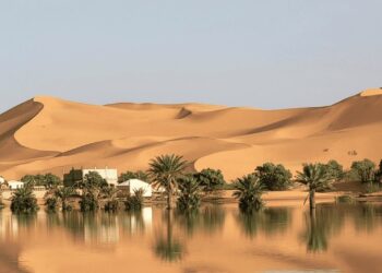 Lluvias inundan el desierto del Sahara por primera vez en más de 50 años