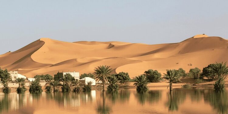 Lluvias inundan el desierto del Sahara por primera vez en más de 50 años