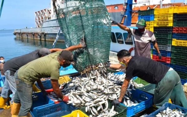Empresas venezolanas exportan de productos pesqueros a más de 30 países