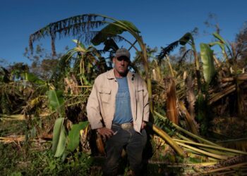 En Fotos | ¿Cómo salir de la crisis? Agricultores cubanos enfrentan consecuencias del huracán Rafael