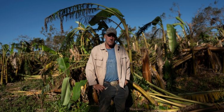 En Fotos | ¿Cómo salir de la crisis? Agricultores cubanos enfrentan consecuencias del huracán Rafael