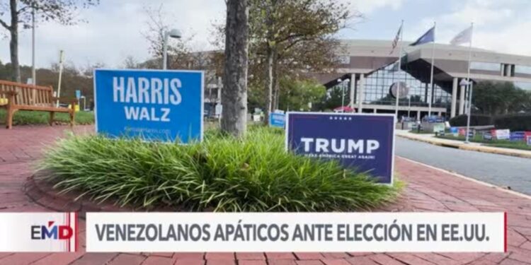 ¿Qué piensan los venezolanos de la elección presidencial estadounidense?