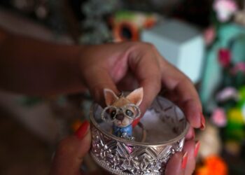 altares del Día de Muertos en México también honran a animales