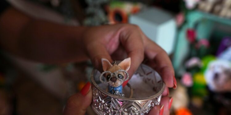 altares del Día de Muertos en México también honran a animales