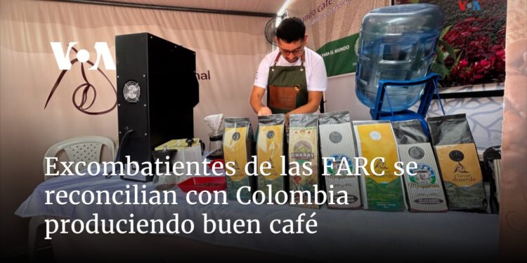 Excombatientes de las FARC se reconcilian con Colombia produciendo buen café