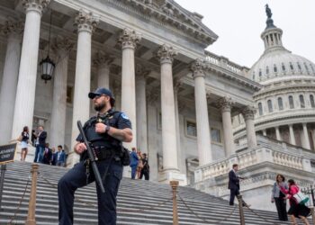 Aun por definirse el control de la Cámara de Representantes y sus implicaciones para la agenda de Trump