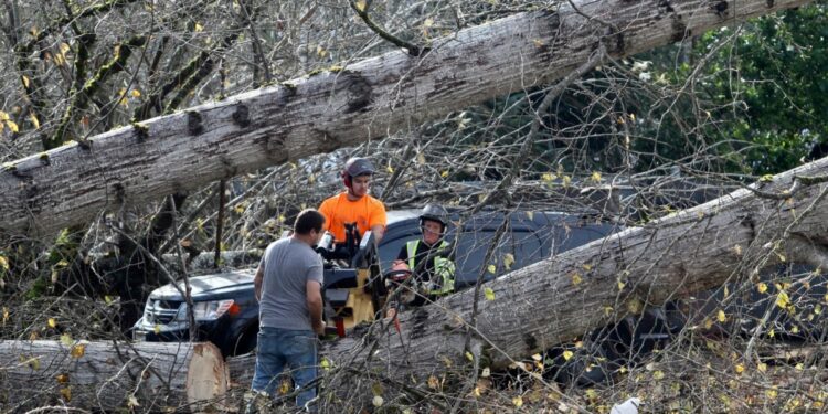Fuertes tormentas en EEUU azotan las costas oeste y este que podrían extenderse durante el fin de semana