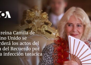 La reina Camila de Reino Unido se perderá los actos del Día del Recuerdo por una infección torácica